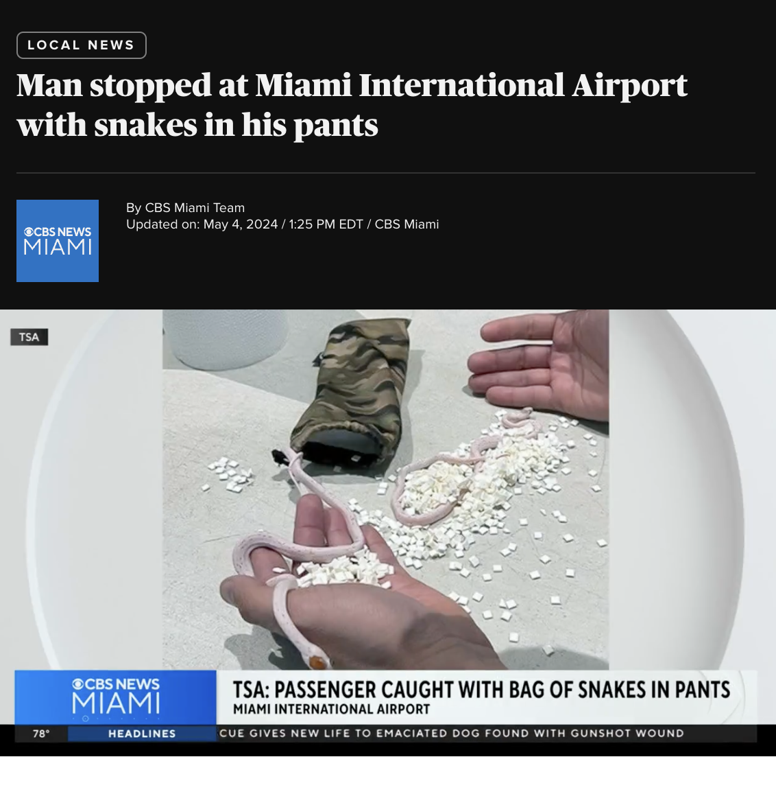 Miami International Airport - Local News Man stopped at Miami International Airport with snakes in his pants Bcbs News Miami Tsa 78 By Cbs Miami Team Updated on EdtCbs Miami Cbs News Miami Headlines Tsa Passenger Caught With Bag Of Snakes In Pants Miami I